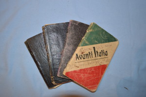 I diari di Luigi De Angelis. Collezione Valerio de Angelis