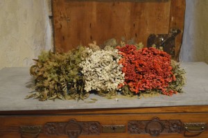mostra_grande_guerra_067