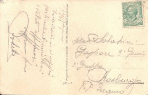 collezione-polli1