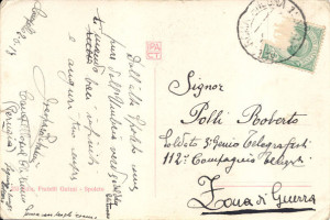collezione-polli5