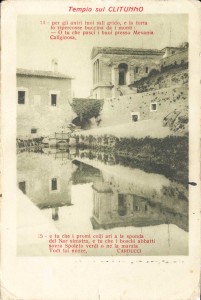collezione-polli6